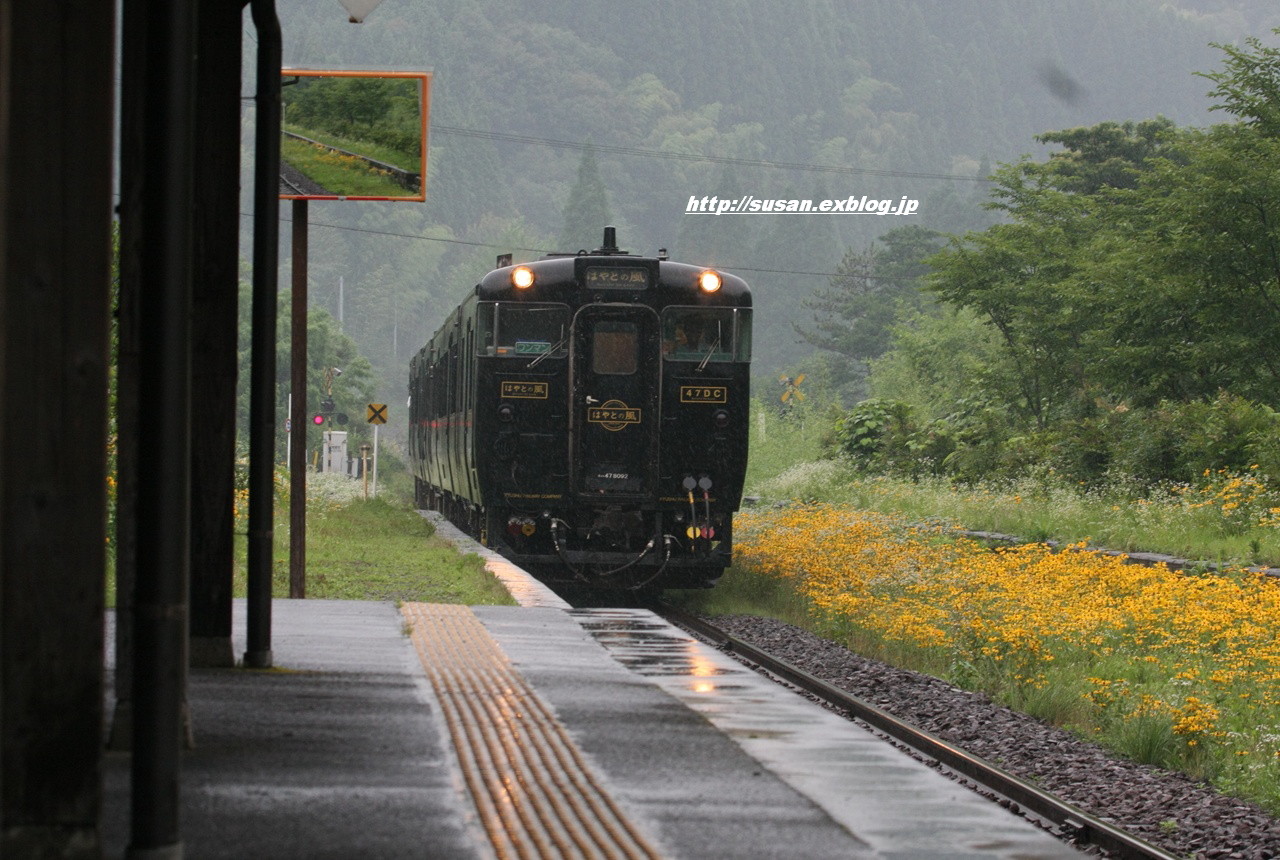 f0136656_19283199.jpg