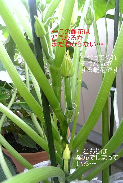 c0115560_11235032.jpg