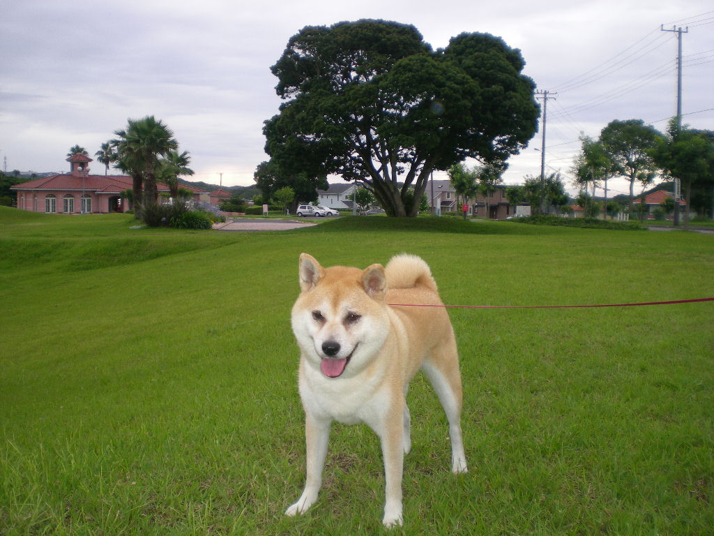 2009年7月7日(火)ヴァンパイアか画家か!?_f0060461_13115951.jpg