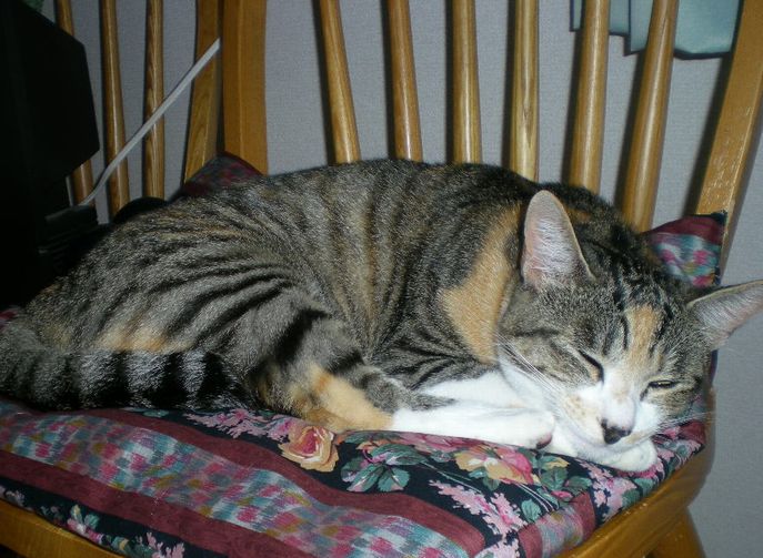 2009年7月7日(火)ヴァンパイアか画家か!?_f0060461_13584384.jpg