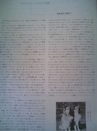 懐かしい_f0126965_785987.jpg