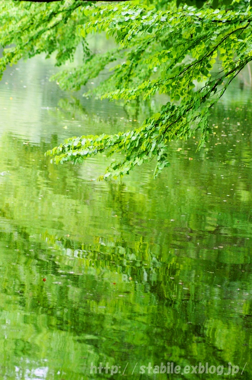 e0158567_1027272.jpg