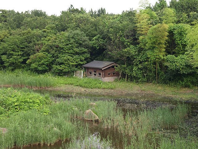 b0006870_23242345.jpg