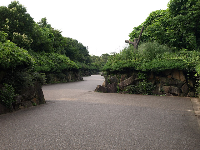 b0006870_23321060.jpg