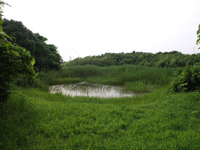 b0006870_23361721.jpg