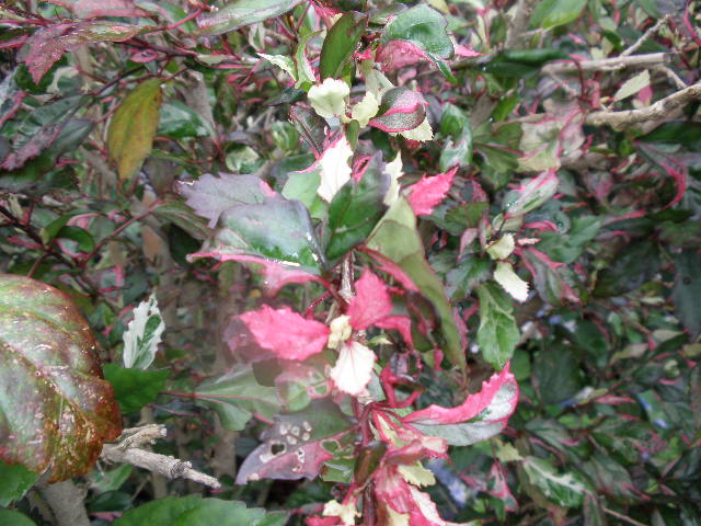 b0157276_2110029.jpg