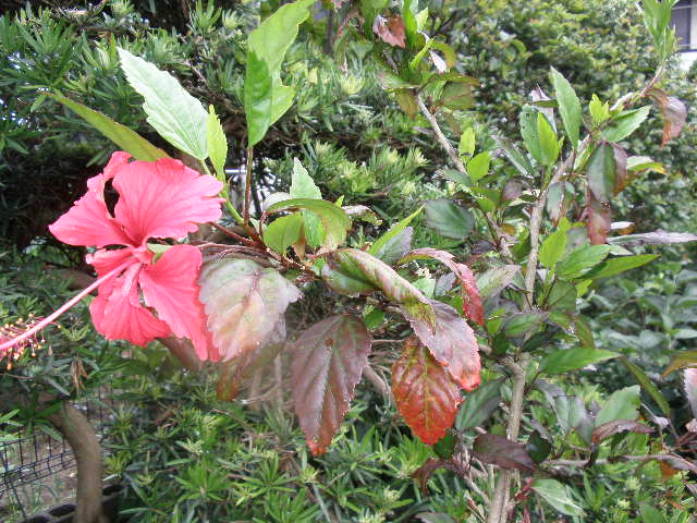 b0157276_2115997.jpg