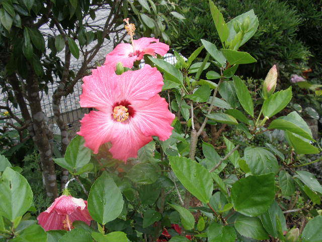 b0157276_2194881.jpg