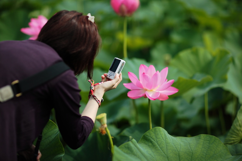 花を愛でる人達_f0080076_19542853.jpg