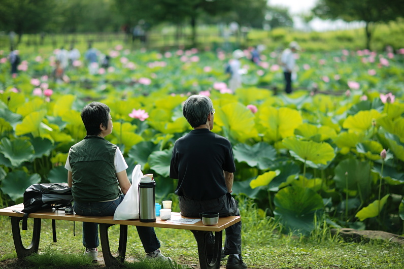 花を愛でる人達_f0080076_19543526.jpg