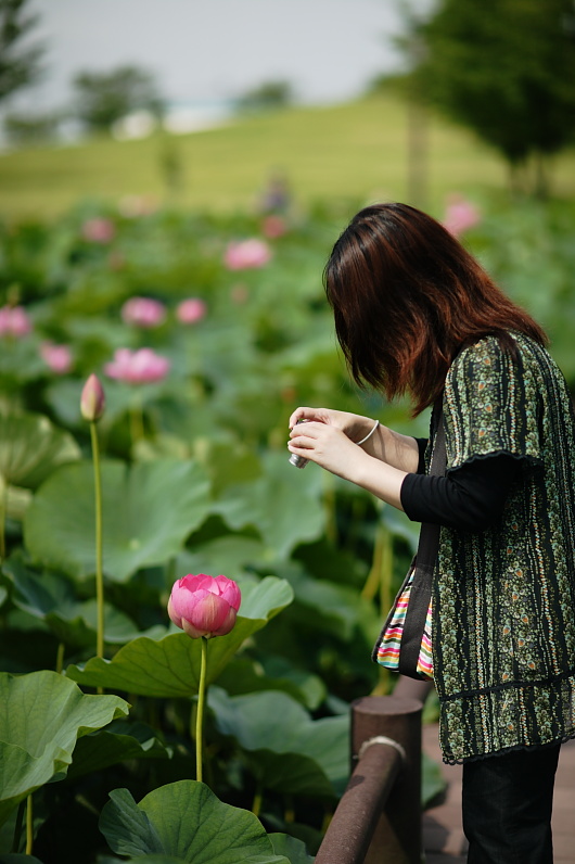 花を愛でる人達_f0080076_19544455.jpg