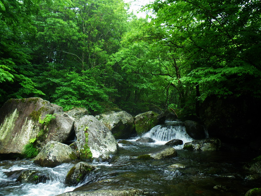 c0197578_20265575.jpg