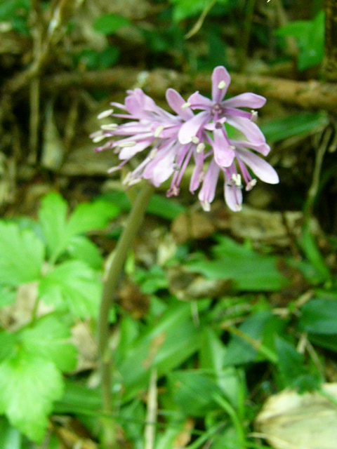 e0145782_17503310.jpg