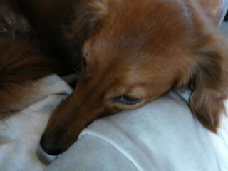 2009年7月7日 どうして熱海に???_b0098584_1837360.jpg