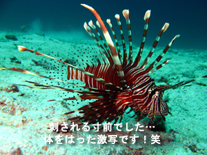 やった! 1位復帰です!! 今日は海洋実習初日!_f0144385_010693.jpg