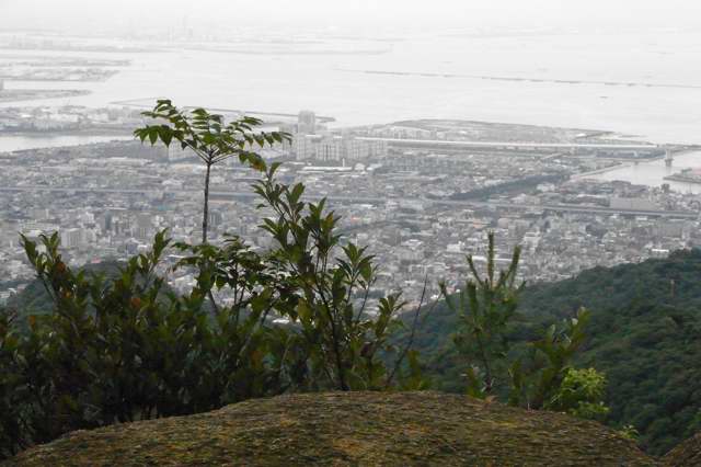 六甲山　荒地山　黒岩、黒松ルート_c0153888_12331896.jpg