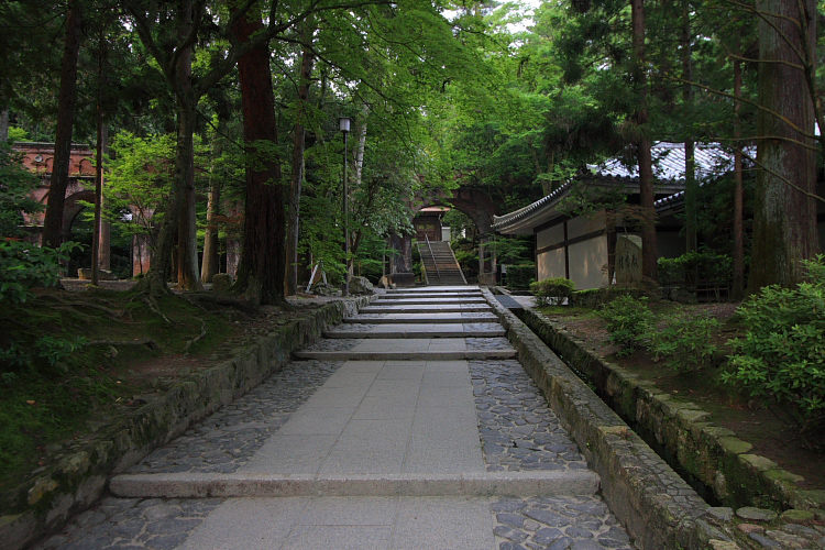 南禅寺_e0051888_5433915.jpg