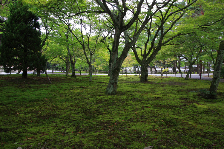 南禅寺_e0051888_5442212.jpg