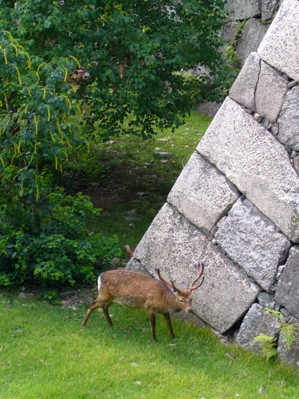 b0080789_0302472.jpg