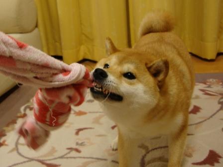 七夕_a0126590_231799.jpg