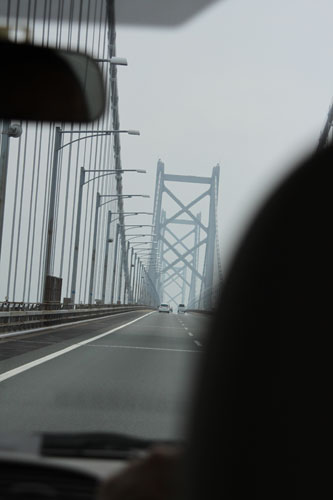 d0142191_2035569.jpg