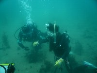 f0079996_14274796.jpg
