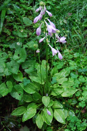 c0124100_18553615.jpg