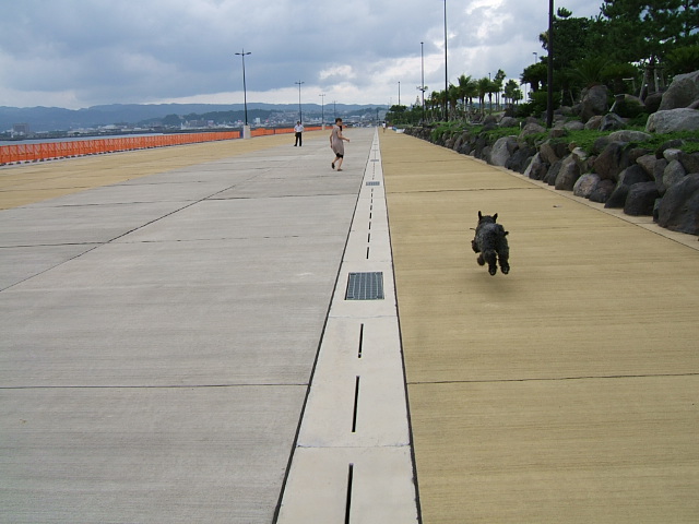 c0037701_22501583.jpg