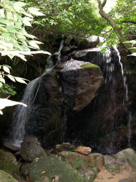 c0036203_18532043.jpg