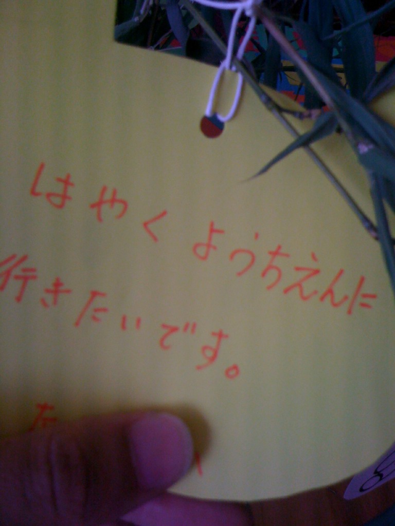 2009七夕_b0188106_003820.jpg