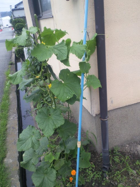 綱渡り アレテクメモ_d0077106_21133083.jpg