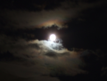 b0189207_21305348.jpg