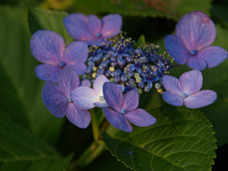 a0041508_16501976.jpg