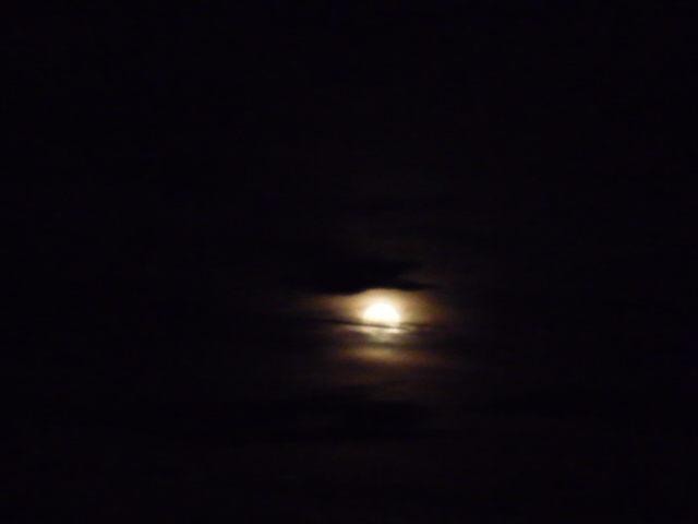 e0034810_01137.jpg