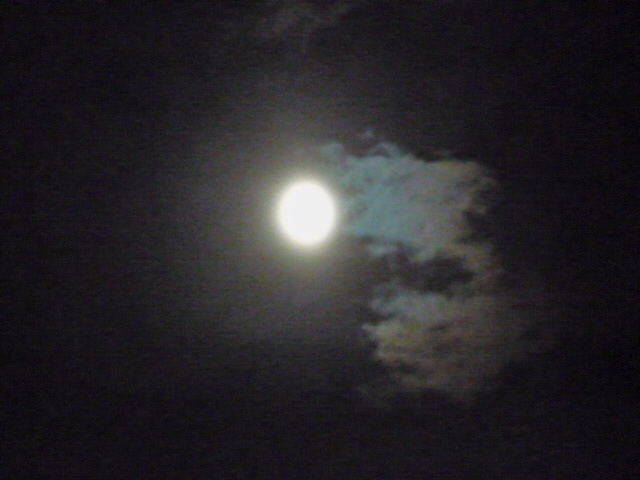 e0034810_064668.jpg