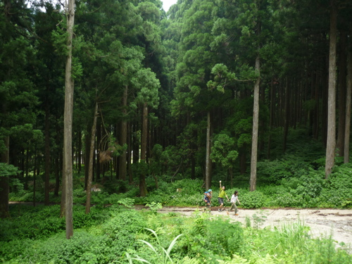 c0188814_1563117.jpg