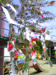 e0053816_13351730.jpg