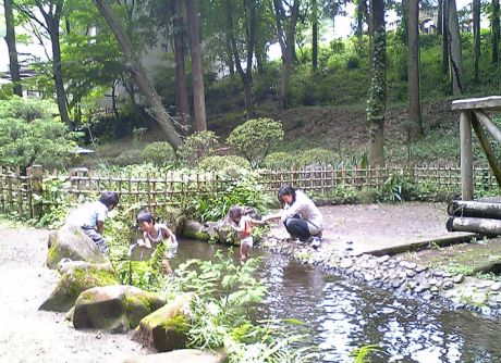 市川動植物園で飼育されている子ザルのママはクマ_b0002123_07536.jpg