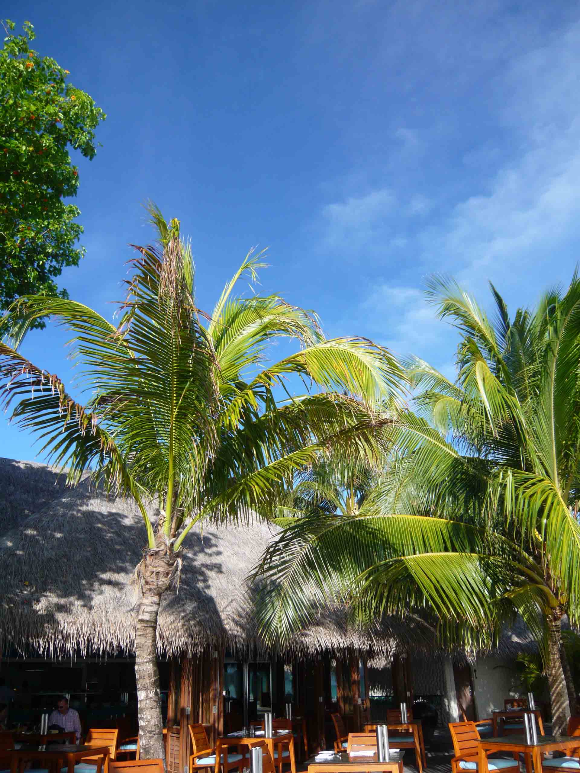 b0171627_1454288.jpg