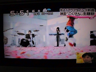 プルメリア 花唄 pv dear heart