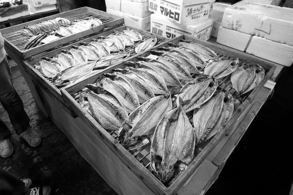 「SHIOGAMA:Fish market」_e0136330_3182879.jpg