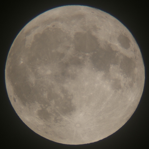 e0089232_8324514.jpg