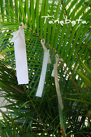 f0162440_16322530.jpg