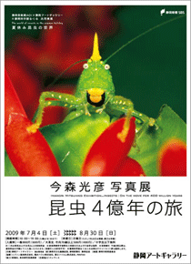今森光彦 写真展_f0082141_2056685.gif