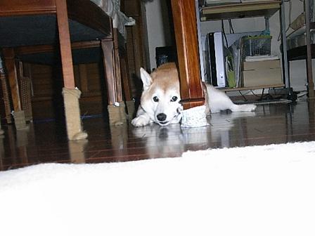 f0075043_20403721.jpg