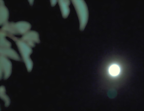 f0079943_15125014.jpg