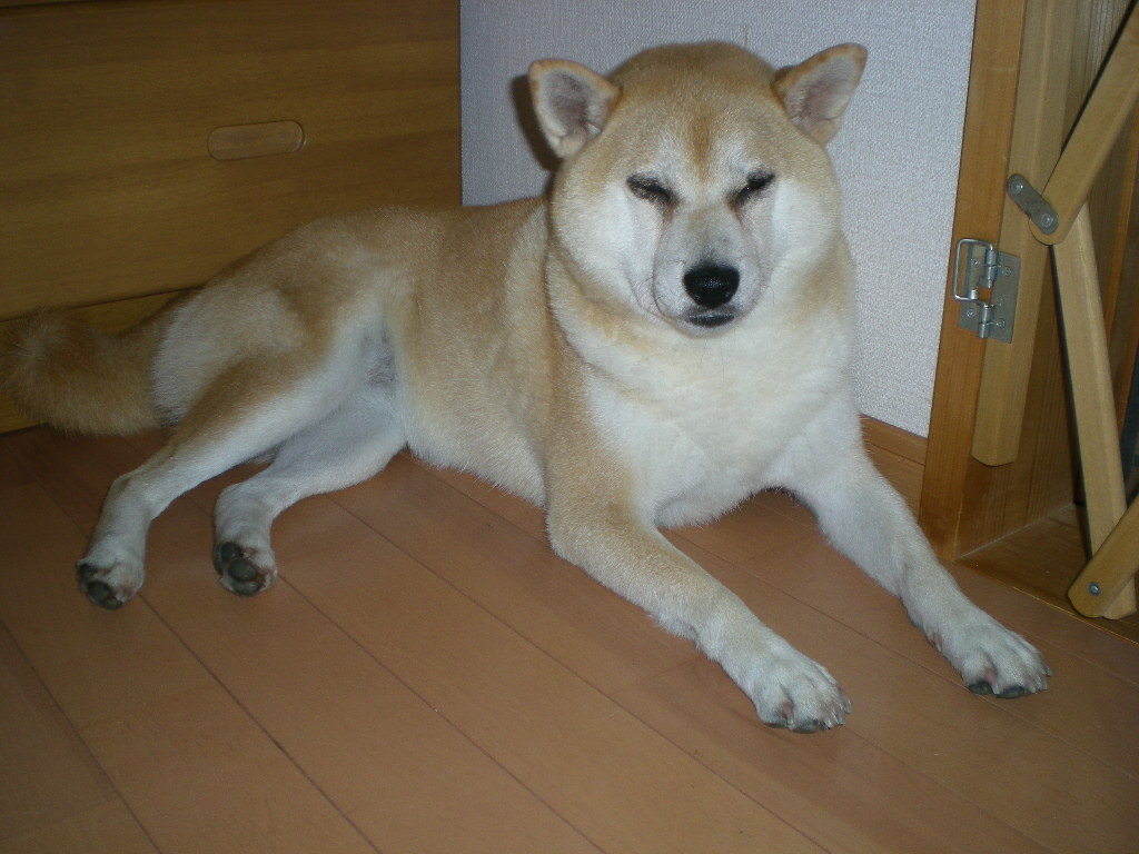 7月8日(水)サンマルタン運河の恋!_f0060461_1415864.jpg