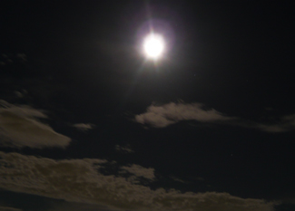 f0131668_0482439.jpg