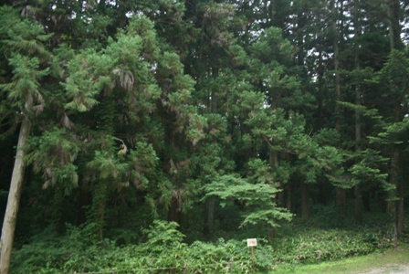 f0088569_12145610.jpg