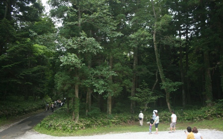 f0088569_1285429.jpg